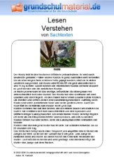 Koala - Sachtext.pdf